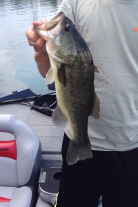 4lber 8-4-12