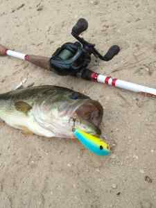 1lb 8oz Crankbait Catch