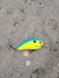 Crankbait