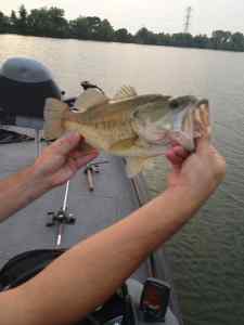 3lber 7-23-12