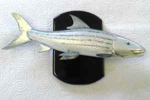 bonefish2