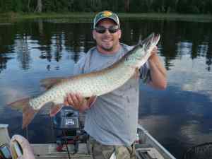 40 inch musky