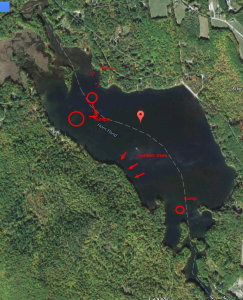 Fishing a small pond I found on Google Maps 