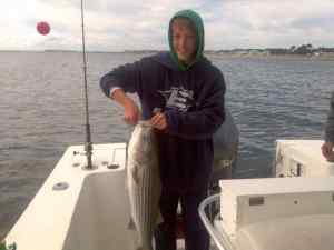 Striper