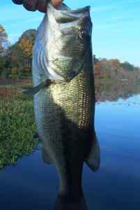 Oct. 23, 2012   Lake Tuckahoe