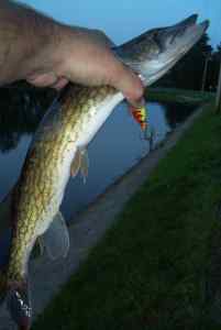 May 30, 2013   Smithville Lake