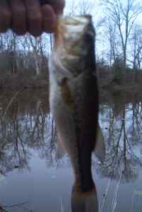 Mar. 31, 2013   Lake Tuckahoe