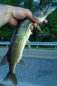 May 9, 2013   Smithville Lake