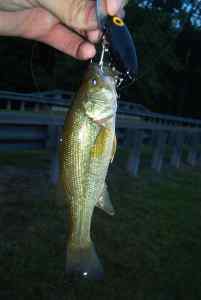 June 6, 2013   Smithville Lake (3)