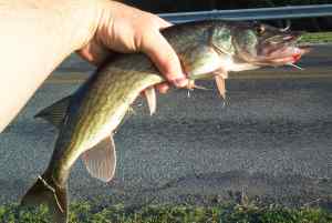 Apr. 18, 2013   Smithville Lake (3)