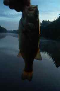 June 6, 2013   Smithville Lake (4)