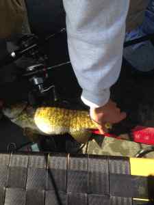 smallie 045