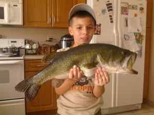 Trophy Large Bass