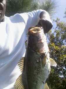 after work fish