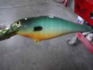 green sunfish