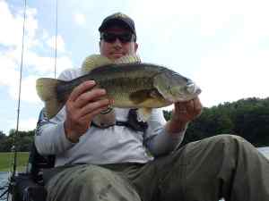 SEP PTL Bass3