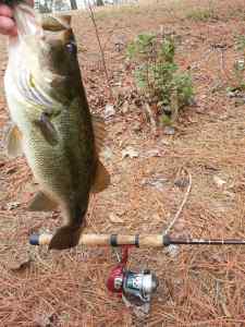 beaver t-rigged 2/16/13