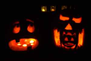 pumpkins 2013 (2)