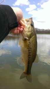 SmithWickSuspendingRouge 4.20.13 16.5inch