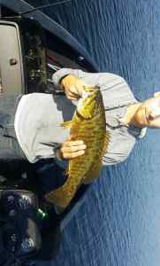 4lb Smallmouth on Winnisquam Lake NH