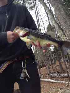 first bass of the year