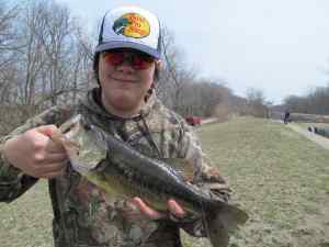 Largemouth Bass