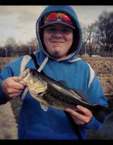 2-3 Pound Largemouth Bass