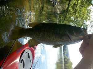 Kayak Trip Smallie