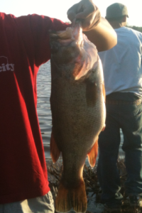 4-5 pound largemouth bass