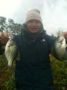 Crappies