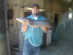 Snakehead