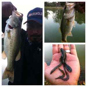 Legg Lake Bass - Fishing Albums - Bass Fishing Forums