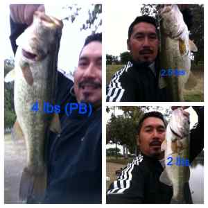 Legg Lake Bass