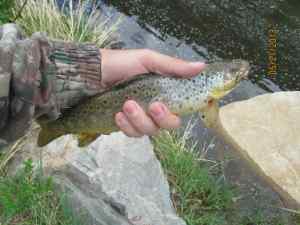 My First Trout Ever.