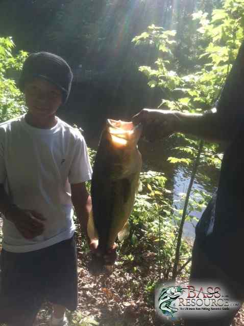 6LBer Bass Local lake/Pond