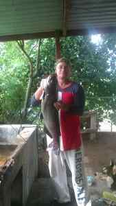 Over 23 pound Catfish caught at Lake Dicky 10 Sonora , Mexico last week :) My friend Joel caught a 11.2 Large Mouth the same day ...