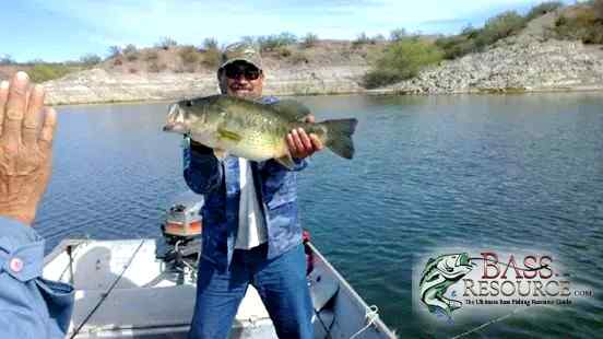 Bass ,Tilapia, carp and other fish , not all from Mexico.