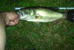 July 1, 2013   Smithville Lake (2)