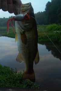 July 27, 2013   Lake Tuckahoe