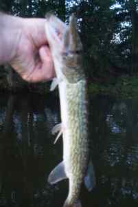 Oct. 2, 2013   Smithville Lake