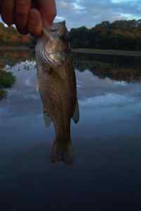 Sept. 29, 2013   Lake Tuckahoe