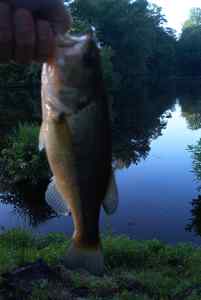 July 5, 2013   Lake Pinehurst