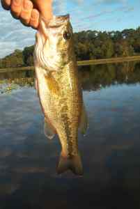 Sept. 29, 2013   Lake Tuckahoe (3)