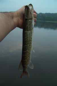 Aug. 28, 2013   Lake Tuckahoe