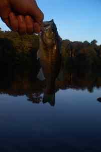 Aug. 15, 2013   Lake Pinehurst