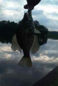 July 1, 2013   Smithville Lake (3)