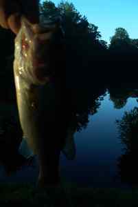 July 5, 2013   Lake Pinehurst (2)