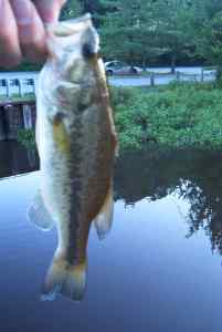 Aug. 5, 2013   Lake Tuckahoe