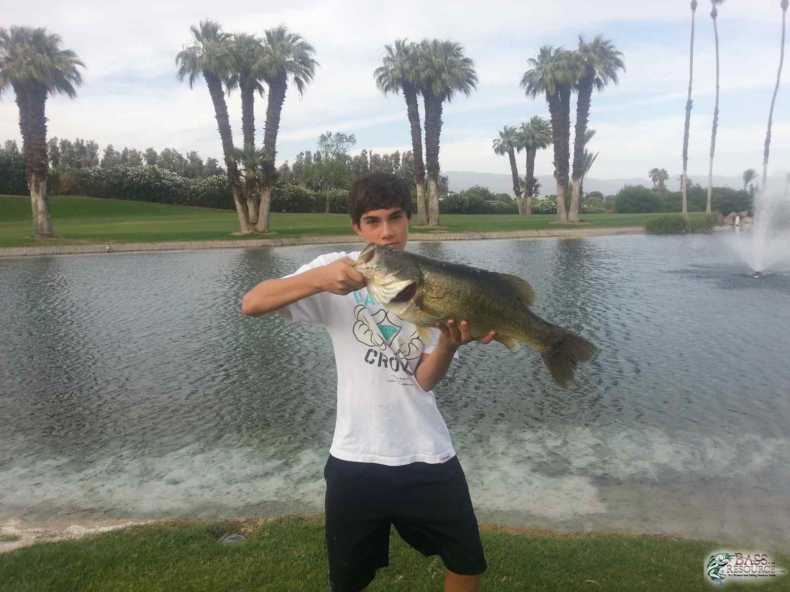 largemouth bass