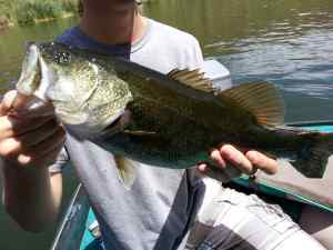 First fish in the new boat